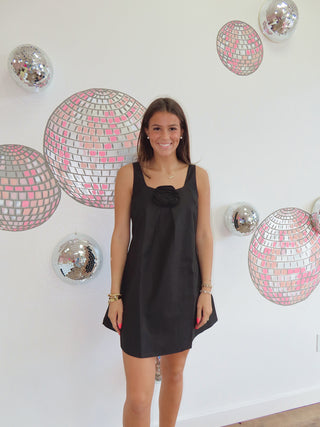 Isabelle Mini Dress